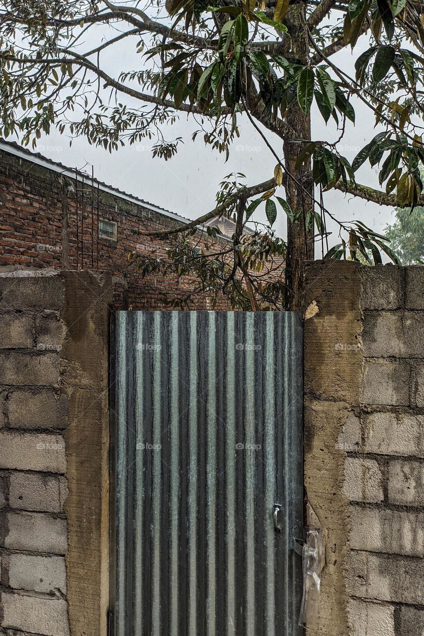 Zinc door and cement stone wall with tree behind it in eye level view