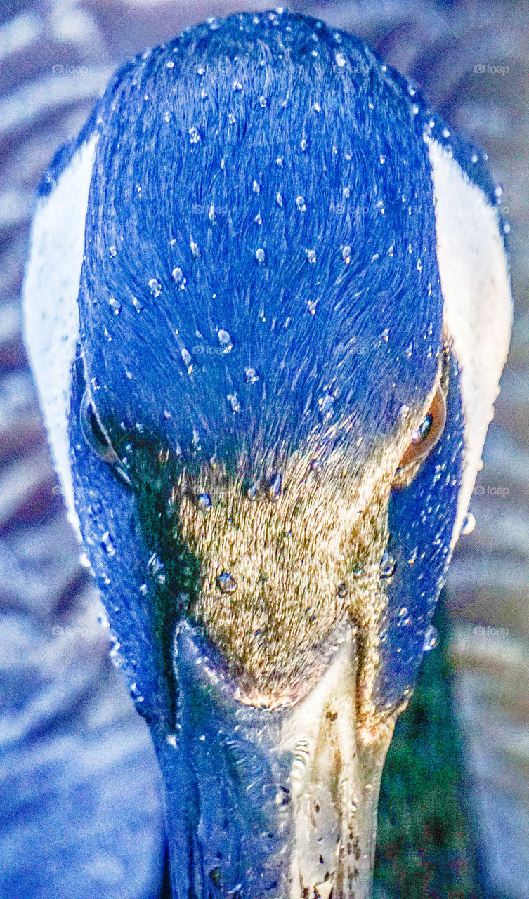 close up