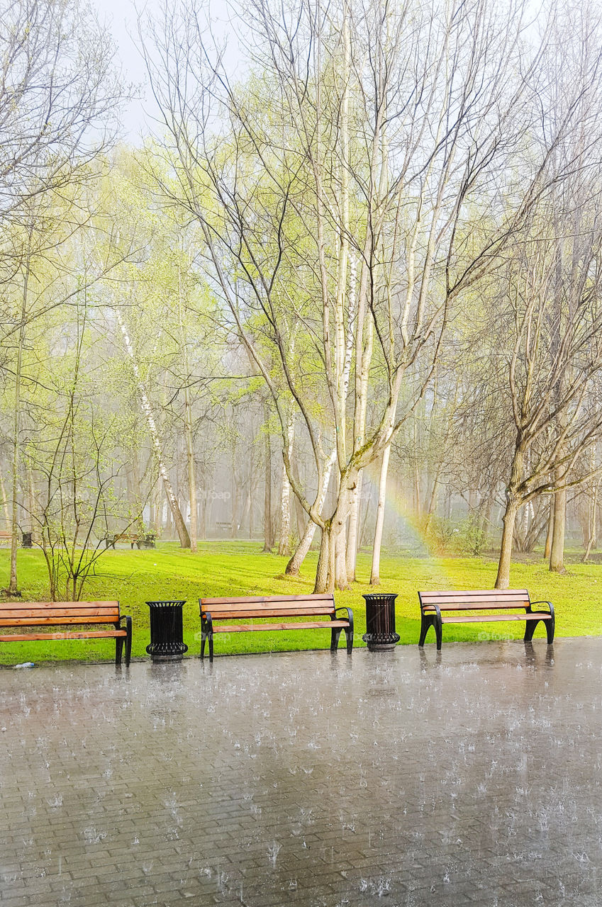 The beginning of spring. Landscape with spring rain, blossoming trees and a rainbow. Moscow, a walk through the Izmaylovsky park with recently foliage