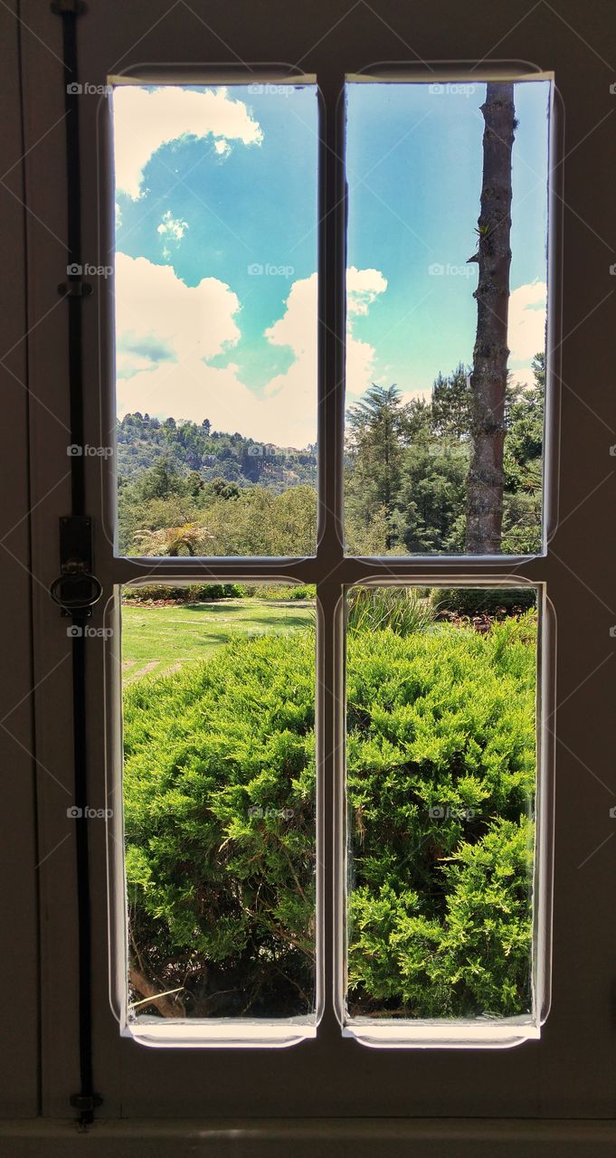 Farm's Window