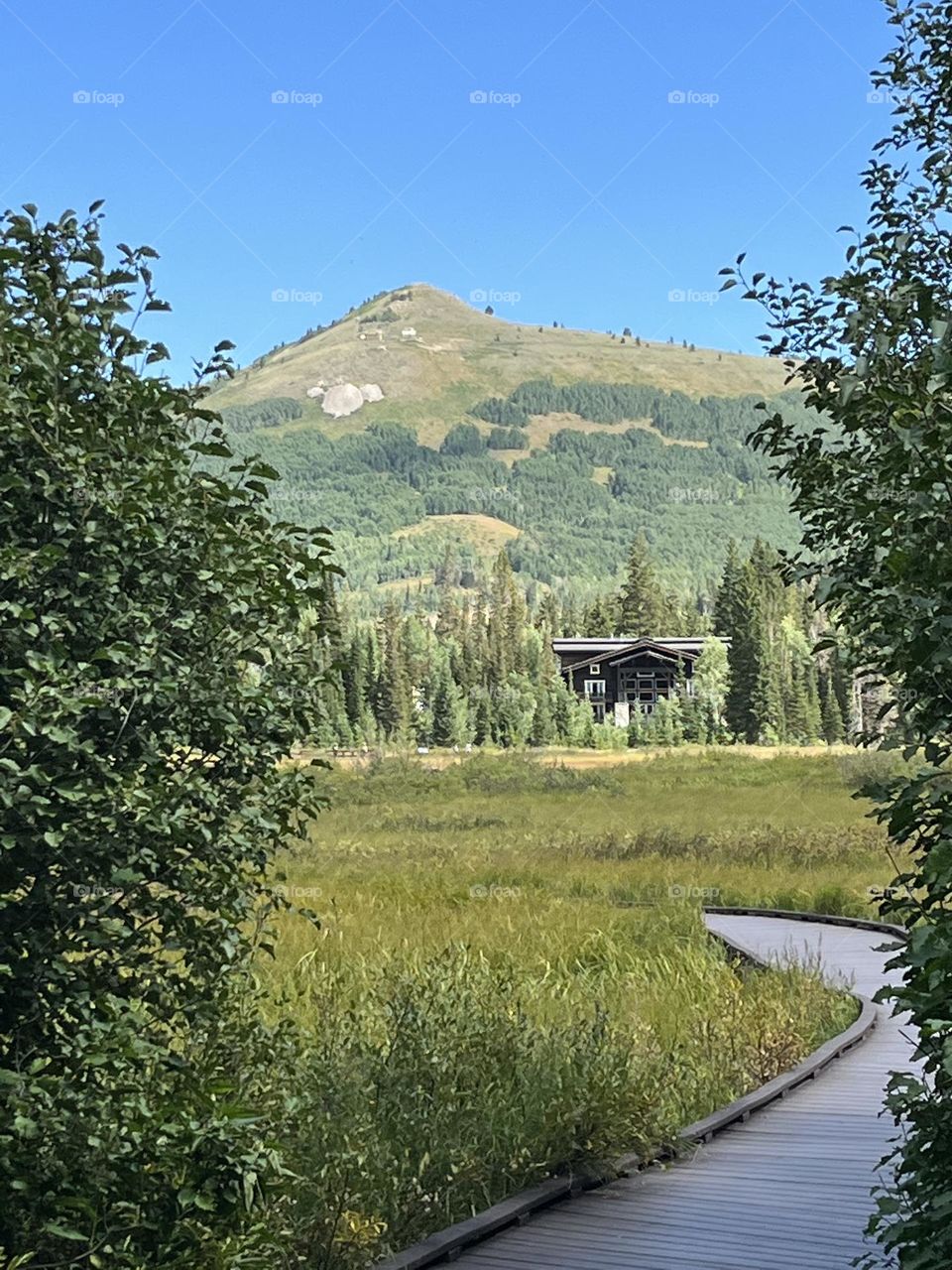 Utah mountain hiking 