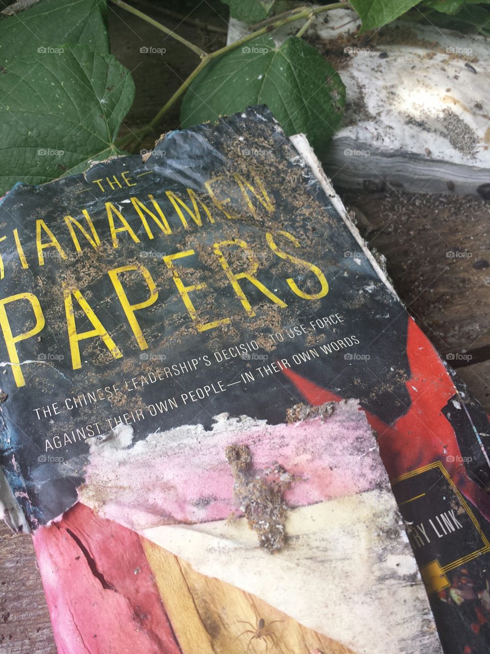 The Tiananmen Papers book