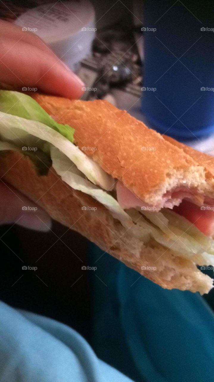 my daily sandwich