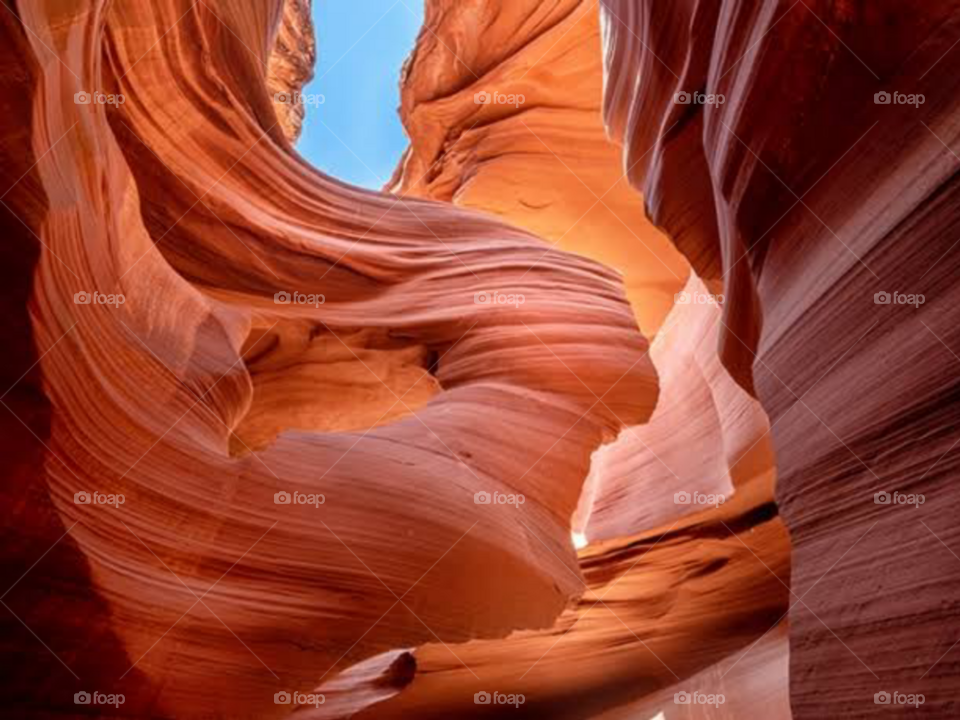 The Beautiful Nature Vibes