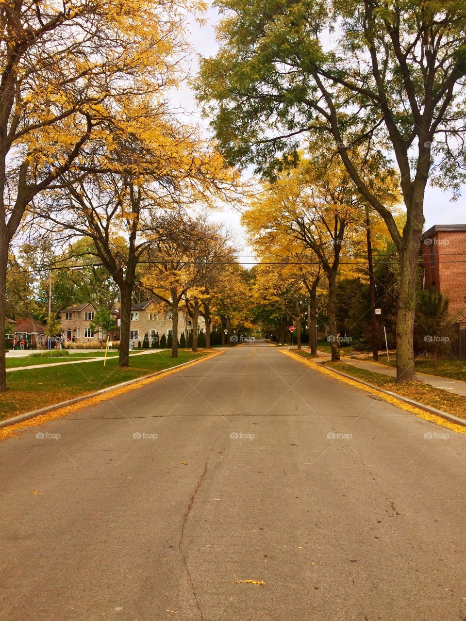 Autumn in Canada 