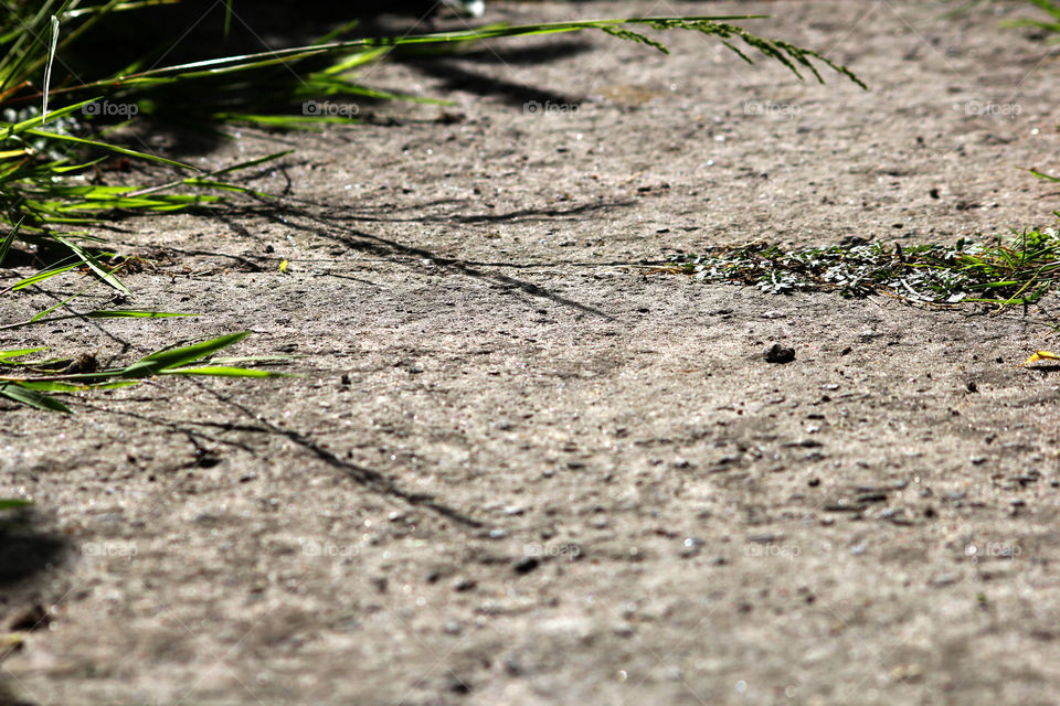 Texture, background, splash, abstraction, road, asphalt, grass, lawn