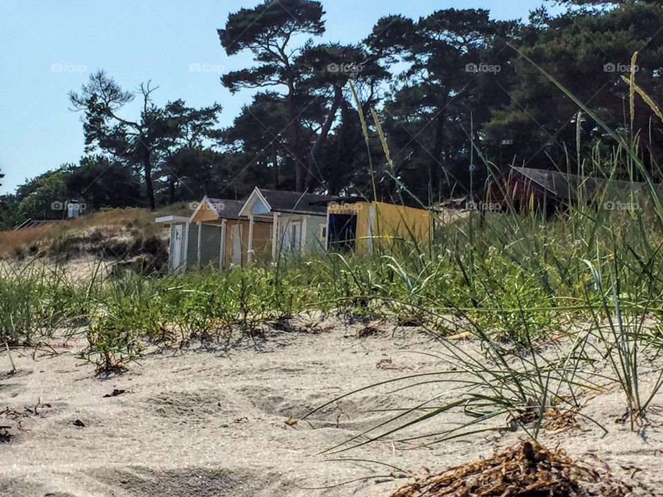 Beach houses on the east coast of Sweden