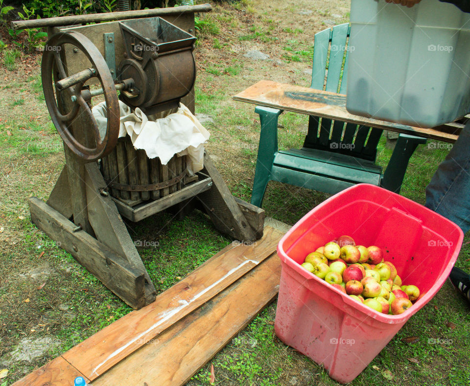 Fresh apples to make juice