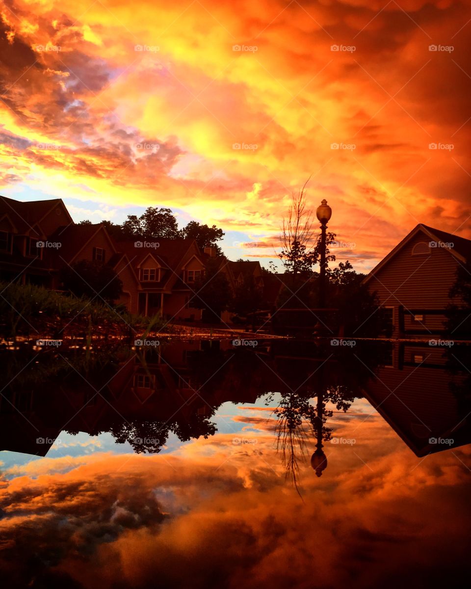 Reflections in a puddle