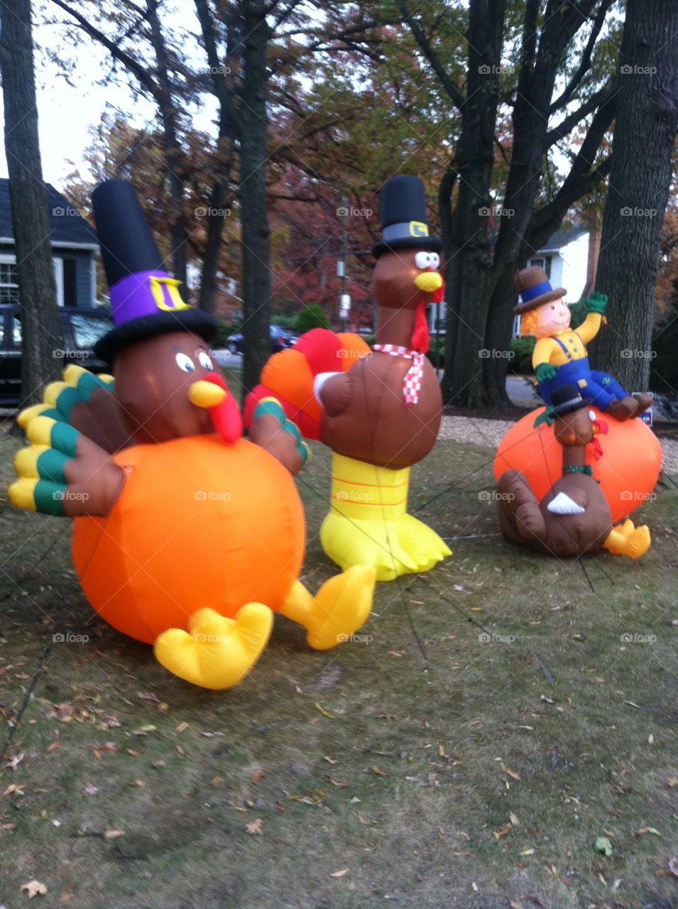 People, Festival, Child, Many, Balloon