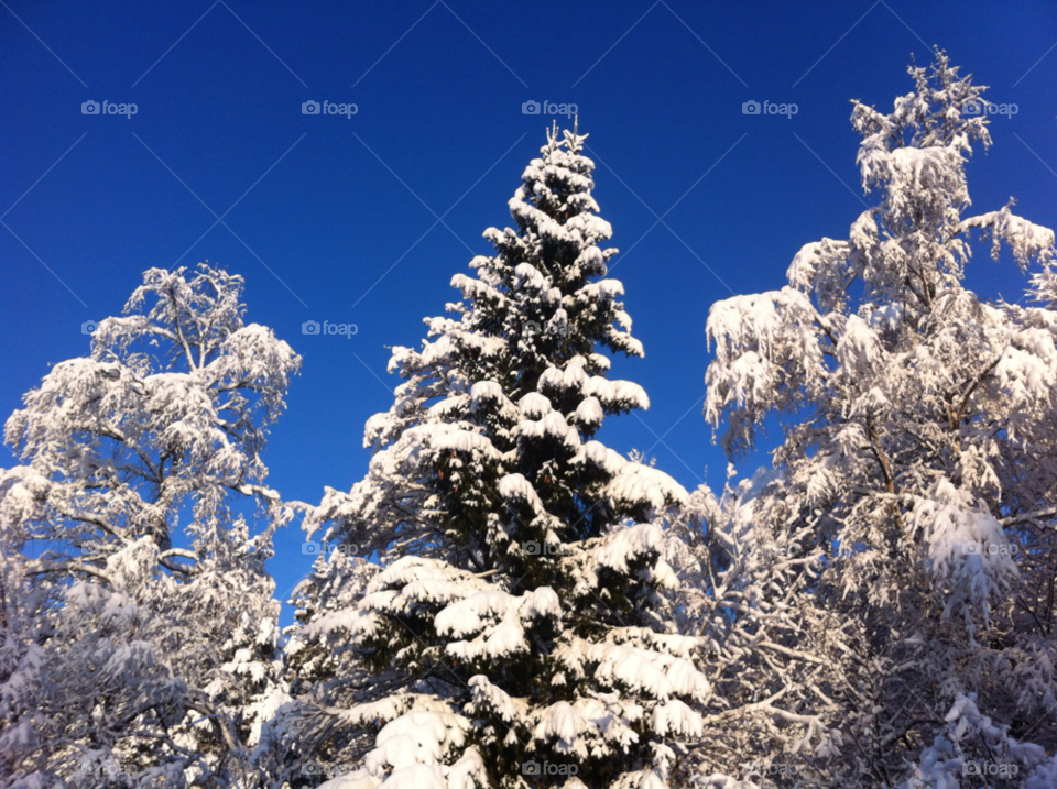 snow winter sky white by jempa_m