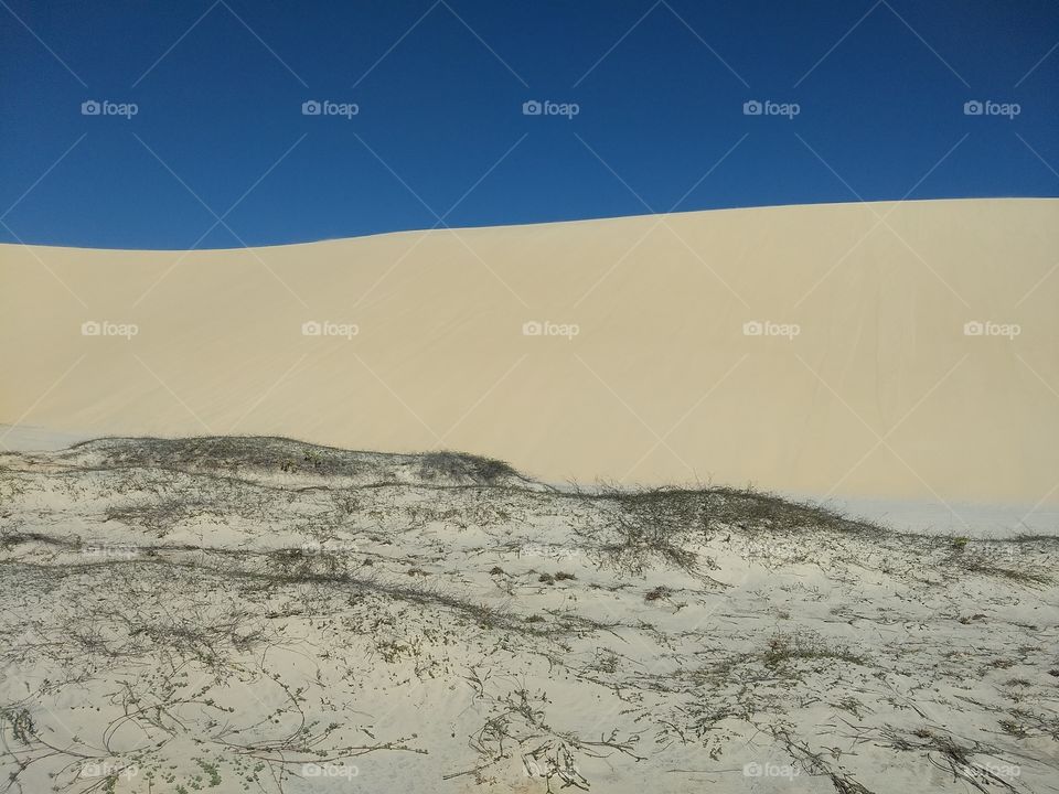 Dunas em Jericoacoara CE