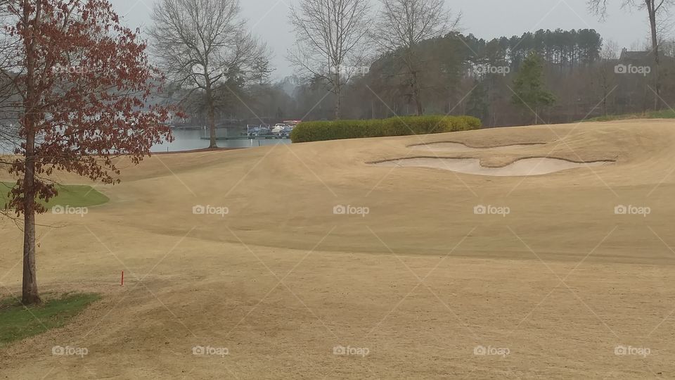 Landscape, Golf, Tree, No Person, Daylight