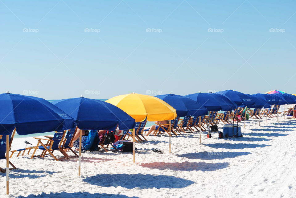 Blue and yellow umbrellas at the beach