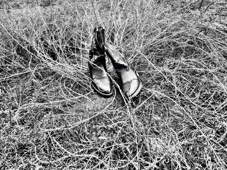 nature grass cowboy culture by avphoto