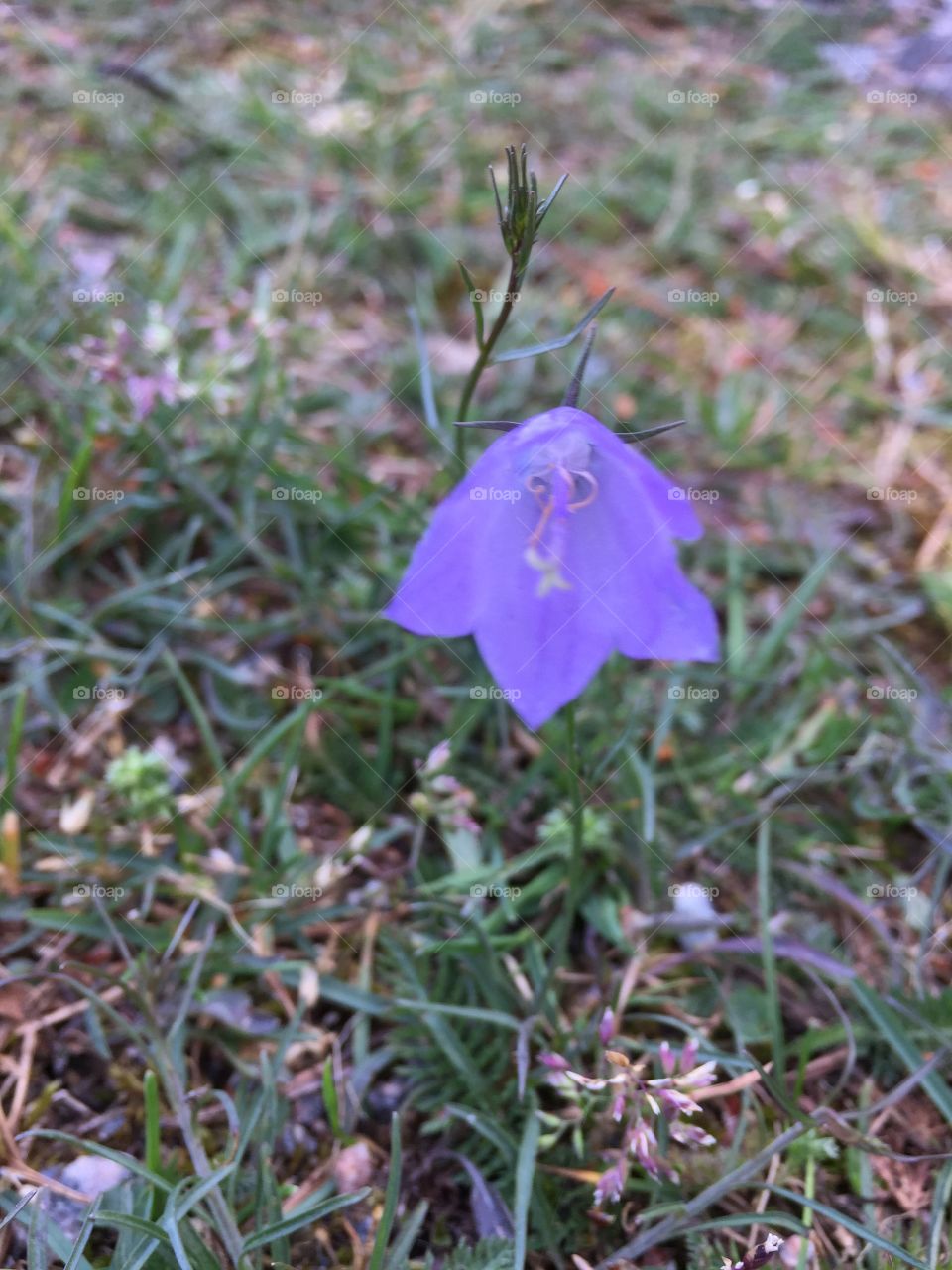 At my walk today 