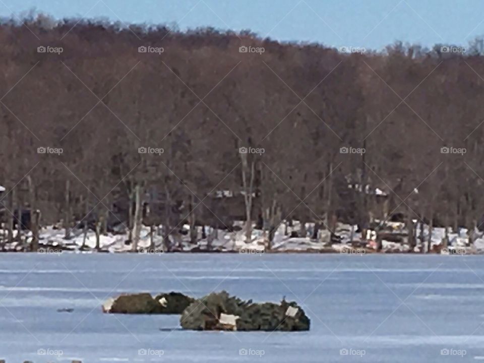 Ice skating anyone?