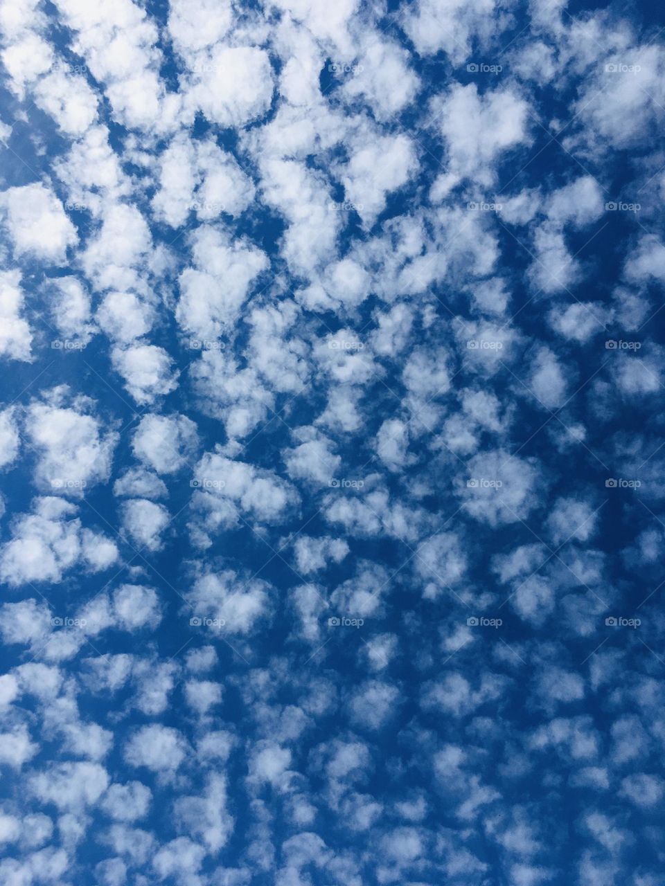 A beautiful blue sky covered in puff ball white clouds. A gorgeous summer’s day viewed whilst lying down relaxing in the sun. 