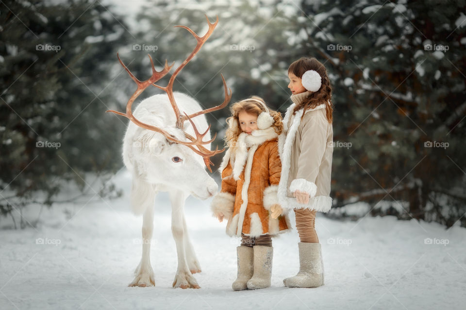 Little girls portrait with White deer at winter