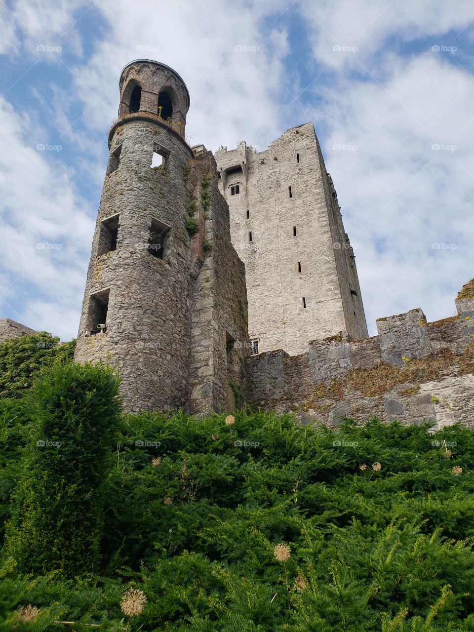 Blarney castle view Ireland