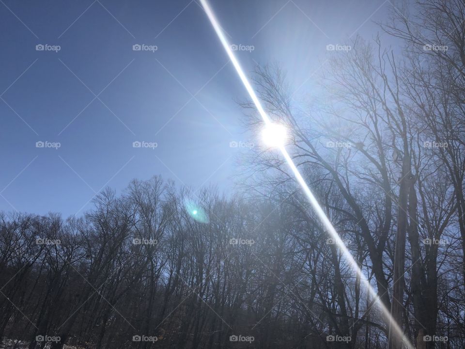 Sunlight through some trees