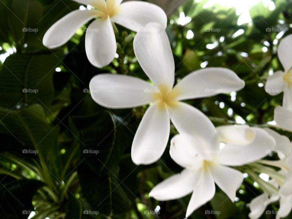 Upload the photo of the month July