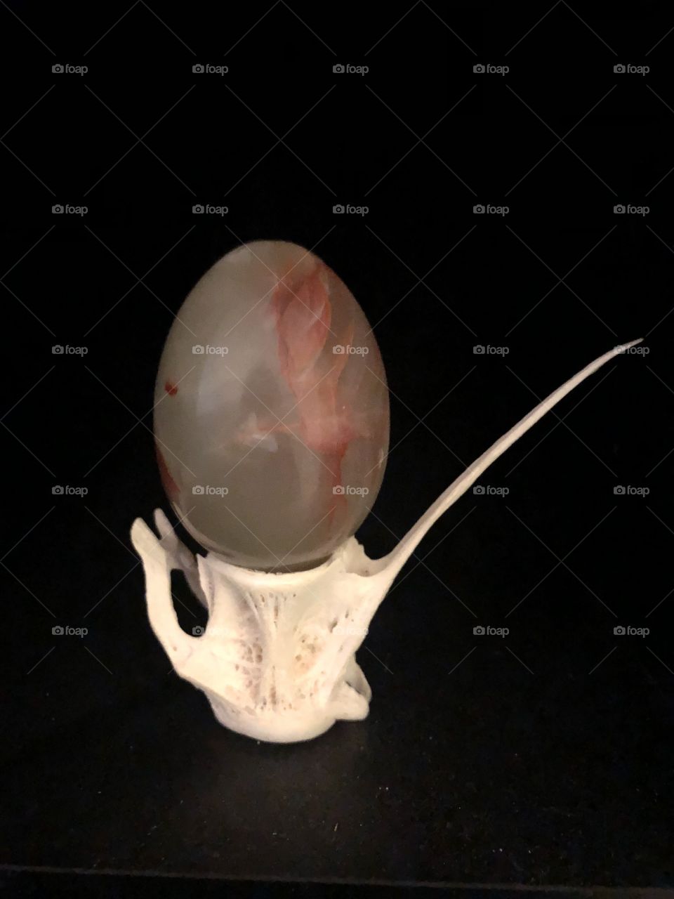 Fish bone with crystal egg