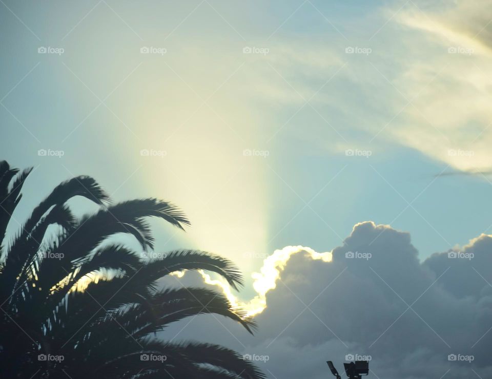 Silver lining behind the palm trees