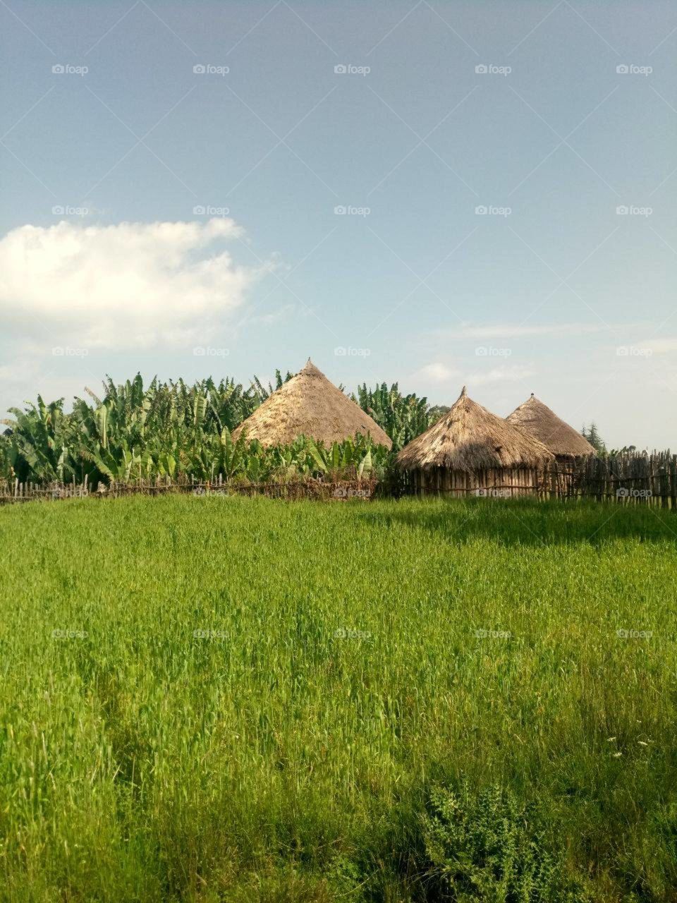 butfuall place in ethiopia