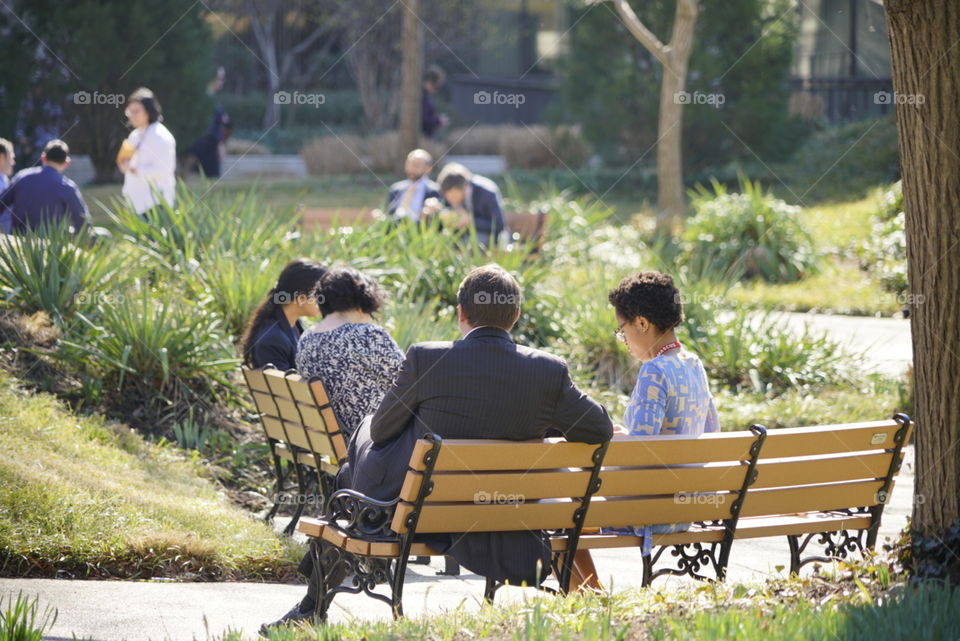 Lunch in the park