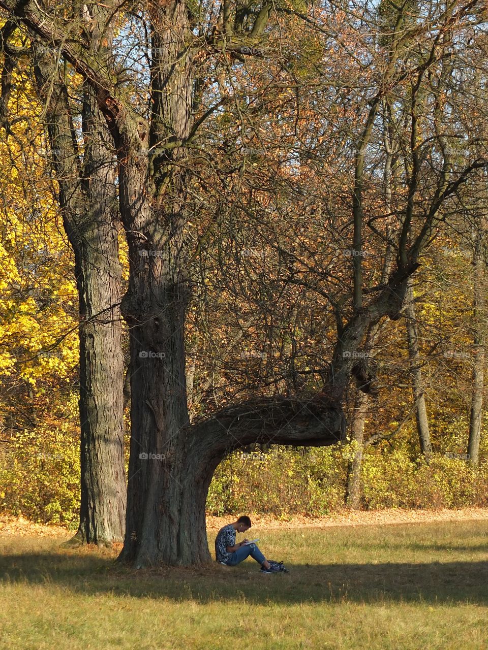 autumn is the time to create. a guy sits under a tree and writes, draws or composes music.