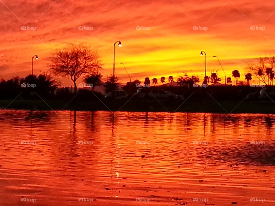 Red and yellow Arizona Sunset reflecting on the water of a pond