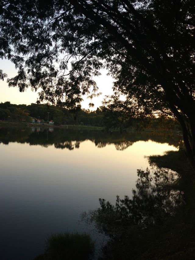 Mirror lake