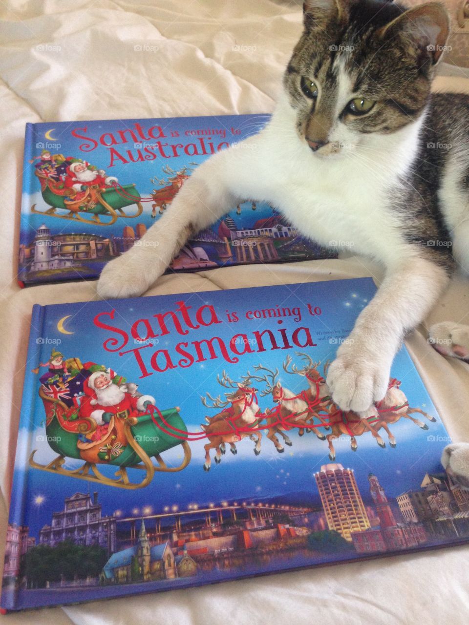 Cat Tasmania Australia books Christmas 