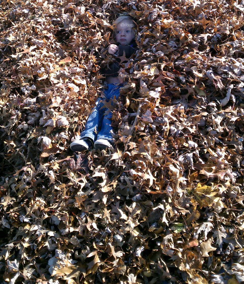 Fun in the Leaves