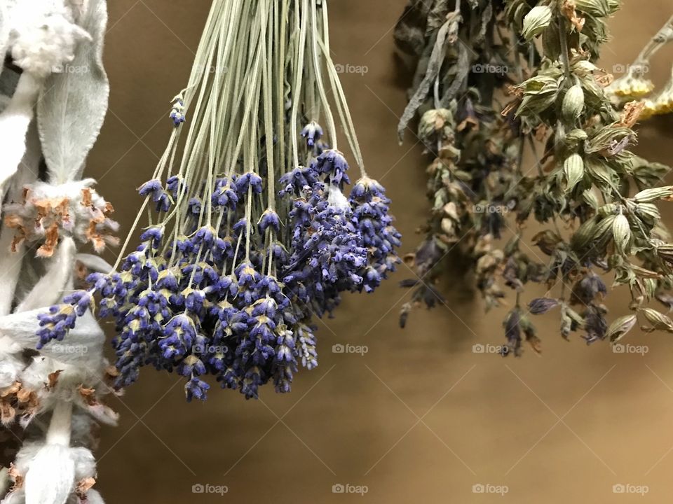 Drying herbs in bunches