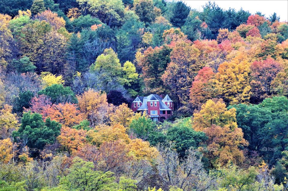 Fall Foliage House On Mountain