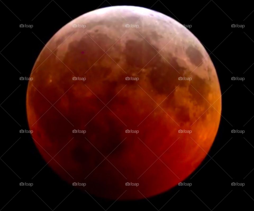 The super blood wolf moon (lunar eclipse) of 2019.