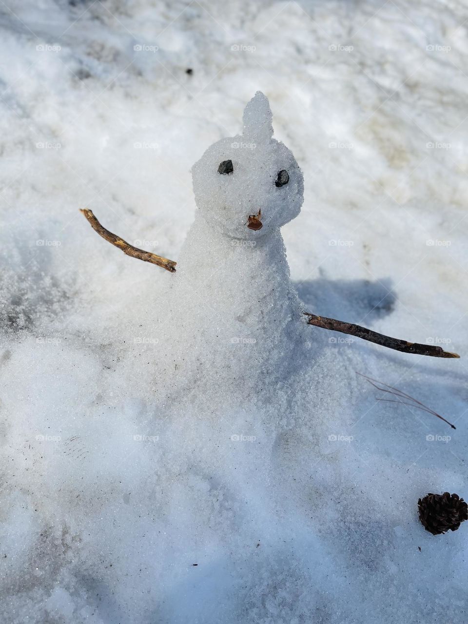 Snowdog is very quite during winter time 