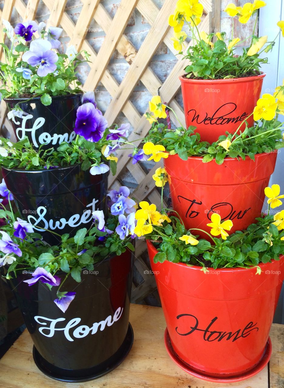 Flower Pots 