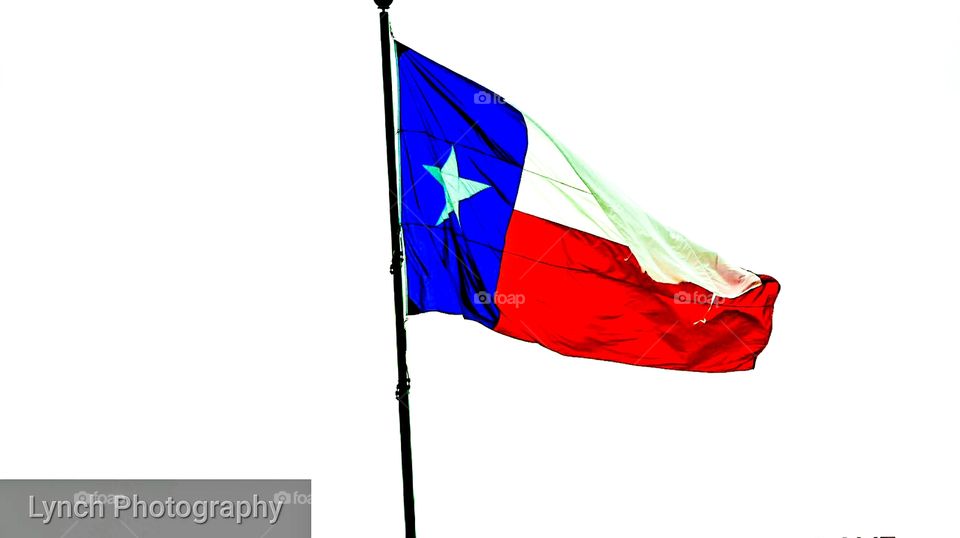 Texas State Flag