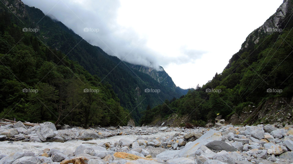 Valley of Flowers