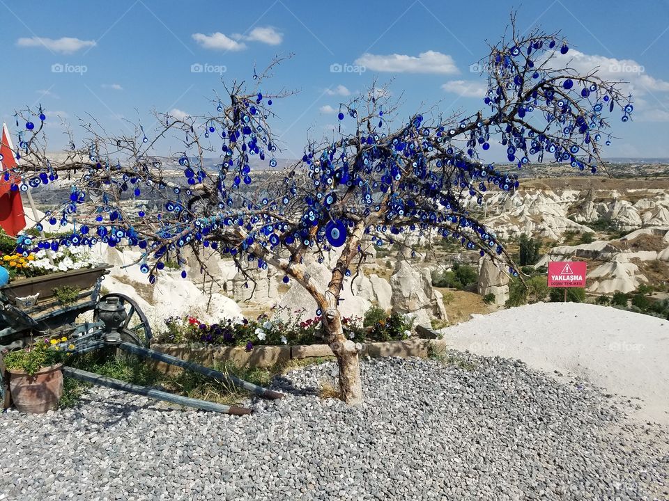 evil eye tree overlooking Cappadocia mountain cave homes in Turkey