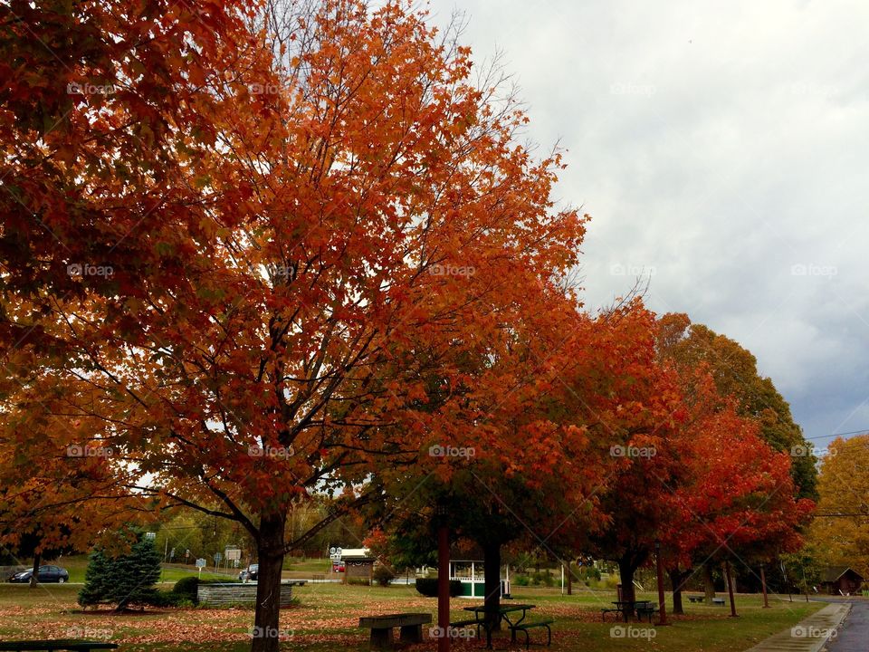 Upstate New York