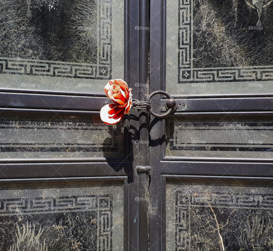 red flower on a black door in a cemetery