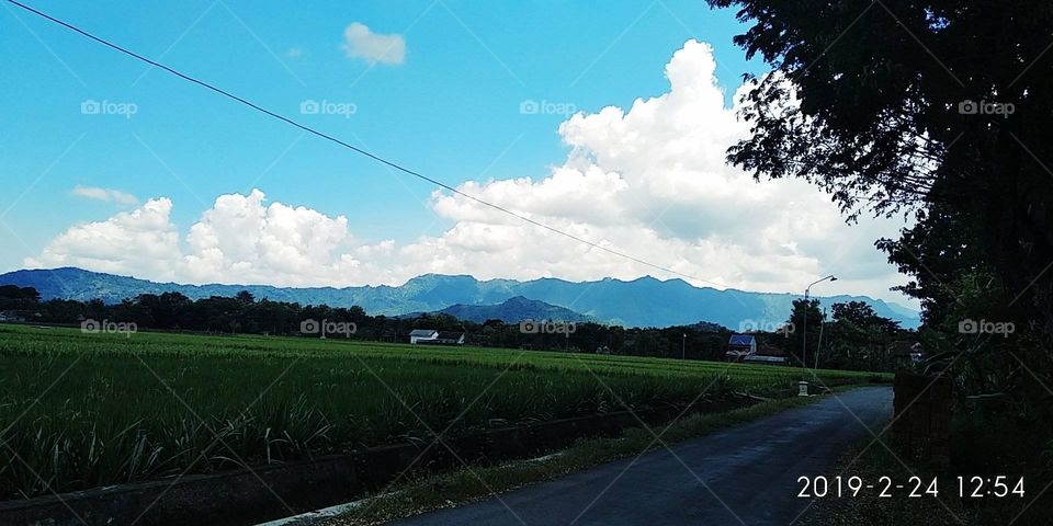 Rural landscape. Seen beautiful mountains and rice fields.