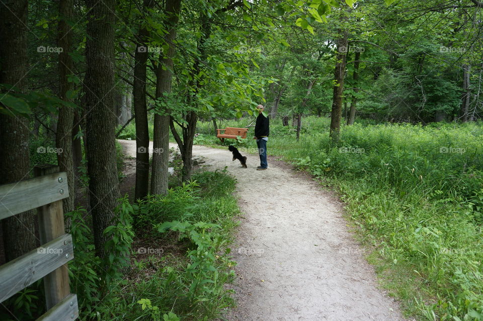 Nature. Man Walking Dog