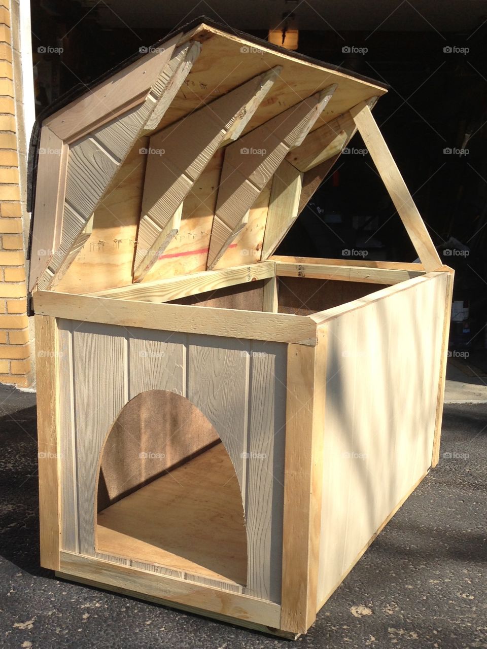 Dog house 