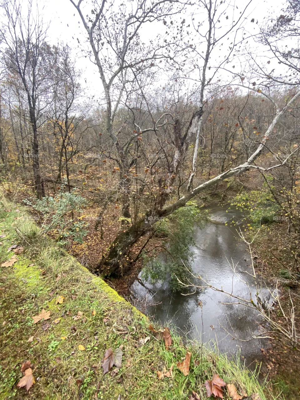 Hiking 