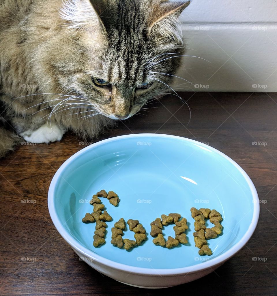 FOAP is purrfect for pets!